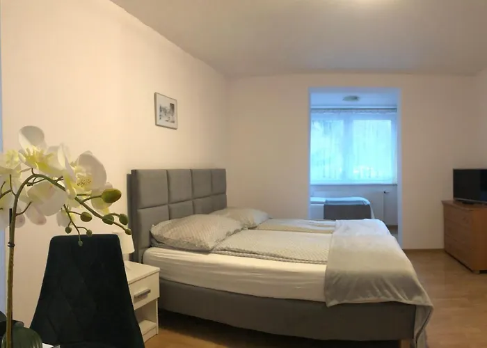 Ola 3* 波兰尼卡-兹德鲁伊