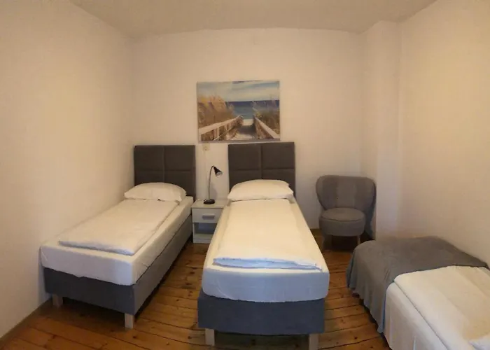 Ola 波兰尼卡-兹德鲁伊