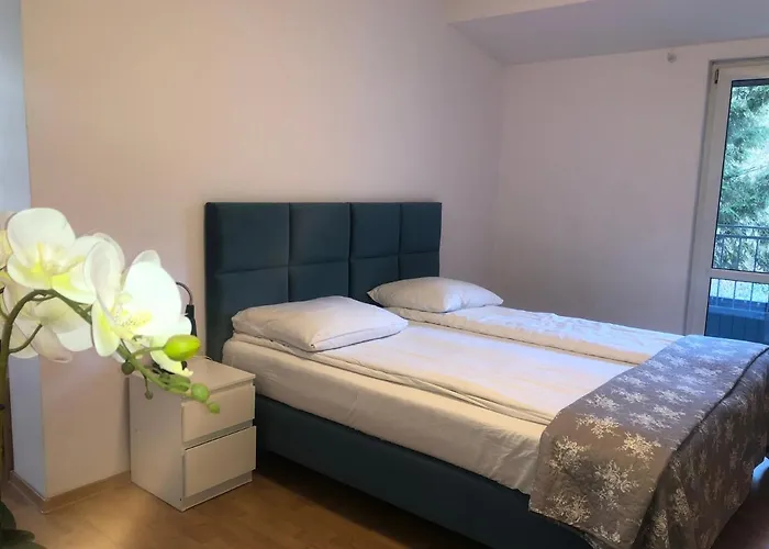 Ola 3* 波兰尼卡-兹德鲁伊